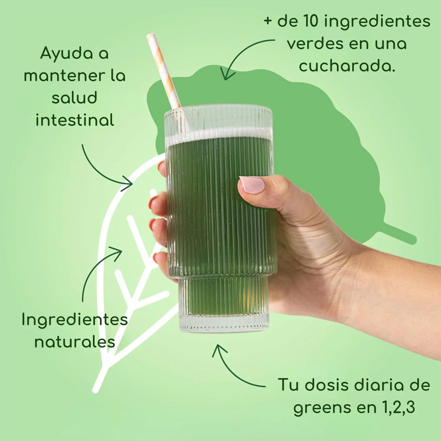 Supergreens Detox – Mezcla Natural con Fibra y Antioxidantes